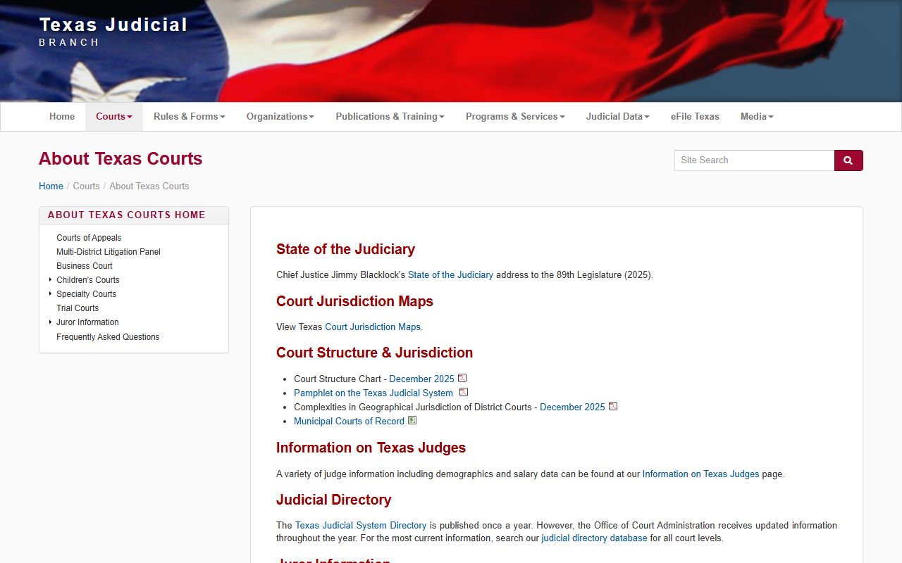 Texas court access framework for Webb County Court records